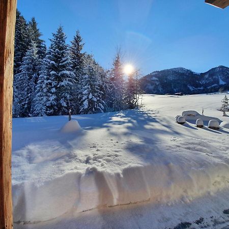 Zeitfrei Chalet Apartments Fieberbrunn Extérieur photo